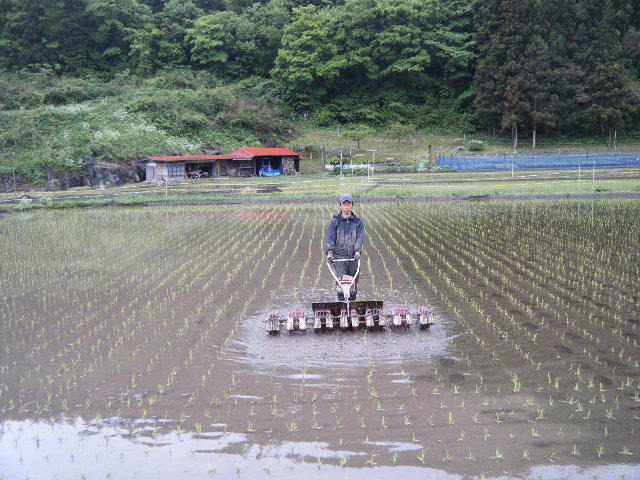 勘六縁のお米