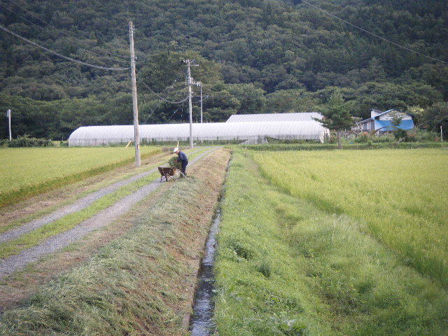 勘六縁のお米 