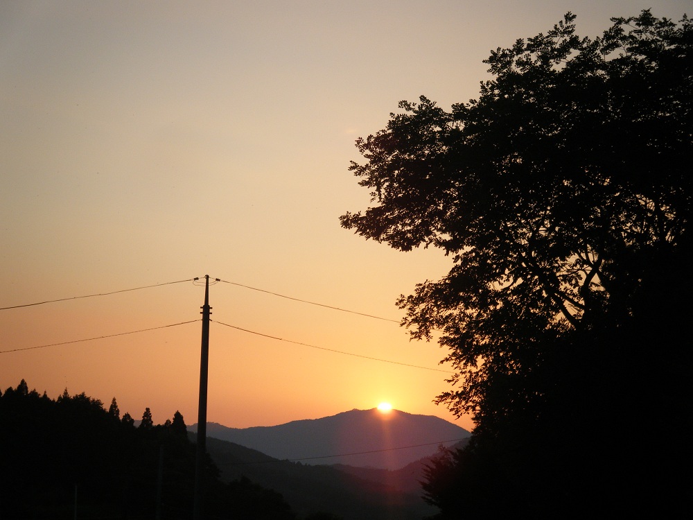 とんぼと夕日