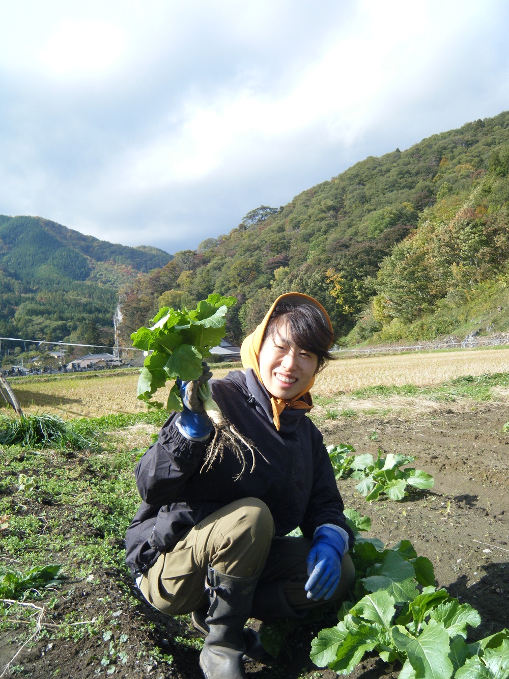 暮坪かぶという細いかぶ