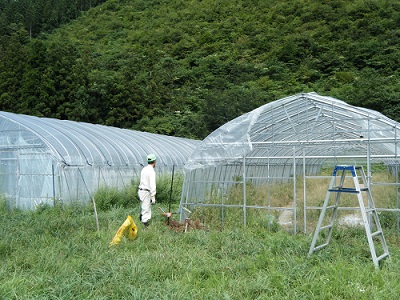 大草原