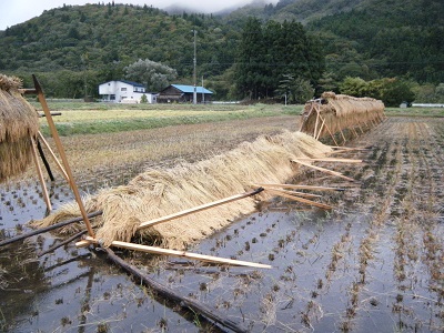 倒れるものは倒れる