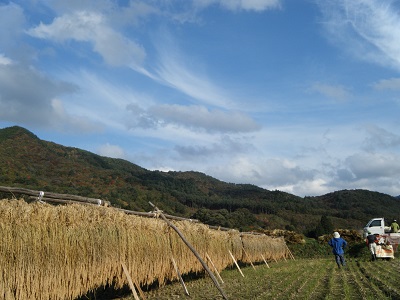 空が高い