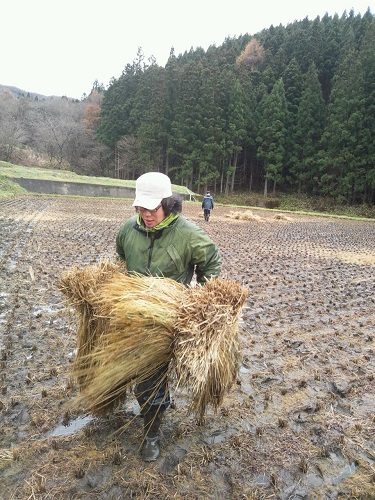 この重量感