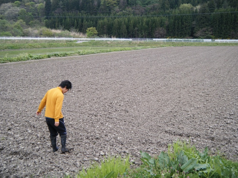 青年は荒野をゆく