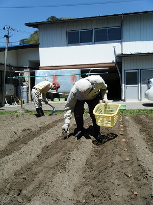 いもいも