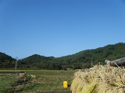 いい天気