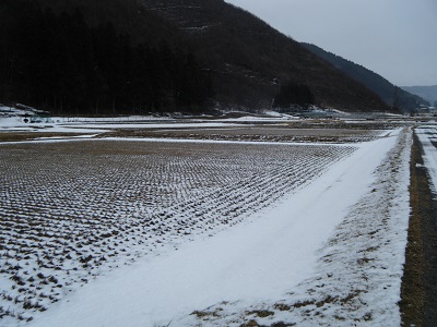 自然栽培米の勘六縁　「2015年１月冬の田んぼ」