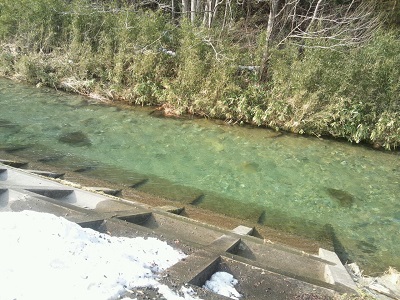 春、雪解け水の川