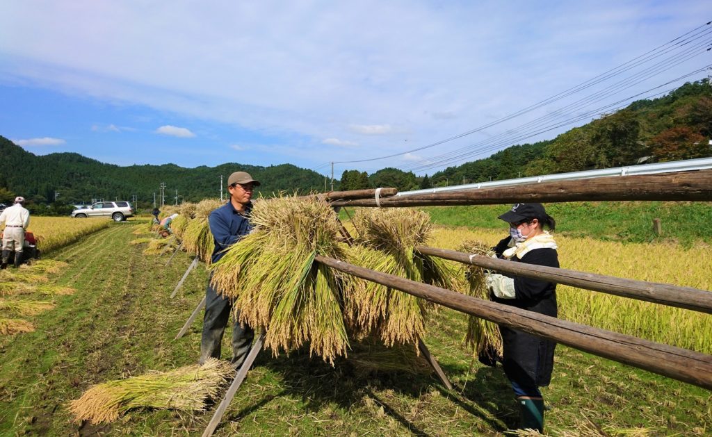 陽佑＆里江、珍しい組み合わせ。