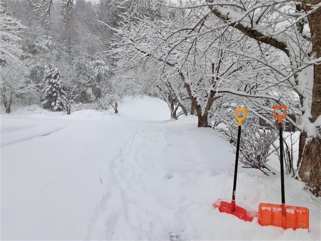 春は桜できれいな家の裏の坂。スキーできそうな雪。