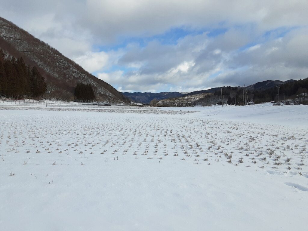 2022年1月、真冬の田んぼ。土がかっちかち。