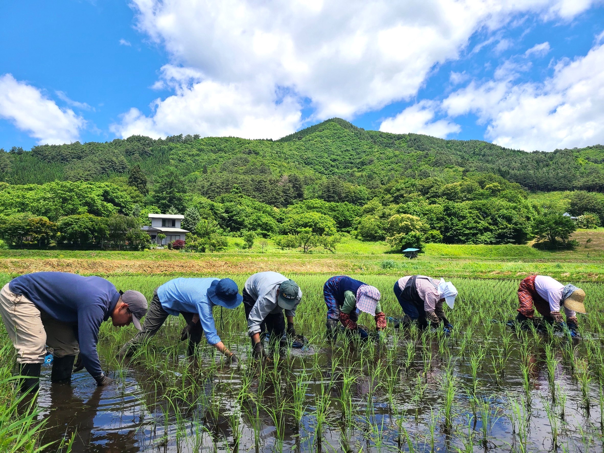 ここにいてくれるだけでいい。 | 岩手県遠野市のお米農家 勘六縁